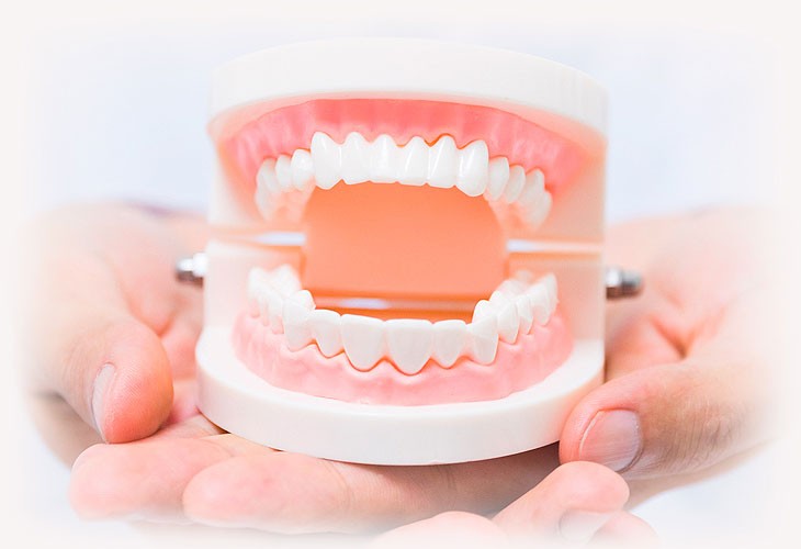 зубные протезы съемные цена и фото
